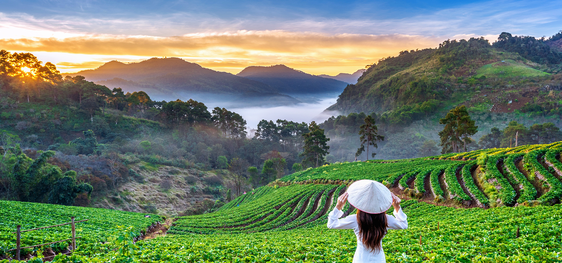 4 Days Munnar Alleppey Package